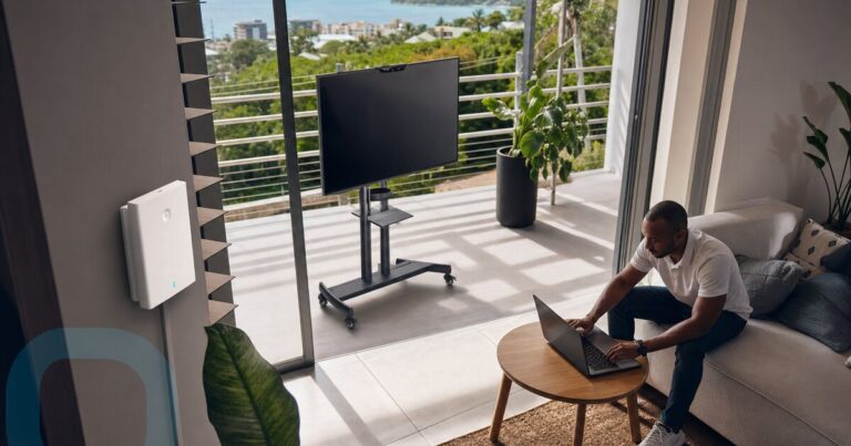TP-LINK EAP615-Wall vs Neomounts Support à roulettes : quel équipement choisir pour votre domicile connecté en Guadeloupe en 2026 ?